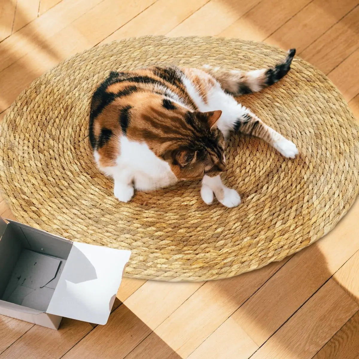 Couch Cat Scratcher Sofa Protection Artifact Cat Supplies Cat Scratch Board Pad Cat Scratching Post Cat Toys Furniture Protector