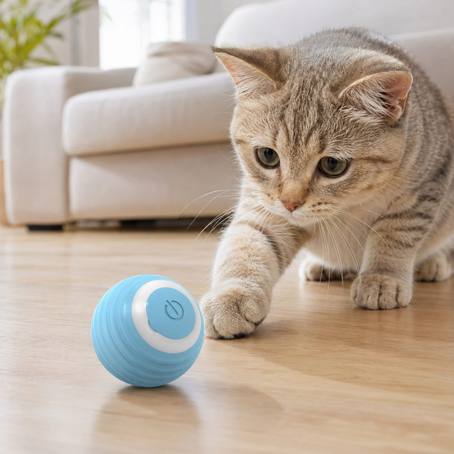 Blue automatic rolling cat toy ball on a wooden floor with a curious cat