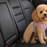 Black adjustable pet car seat-belt tether clipped from a dog harness in a rear car seat