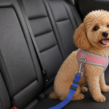 Blue adjustable pet car seat-belt tether clipped from a dog harness in a rear car seat