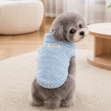 Blue plush winter sweater worn by a small dog in a cozy home