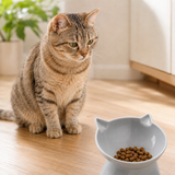 Elevated tilted cat bowl in grey, lifestyle image