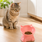 Elevated tilted cat bowl in pink, lifestyle image