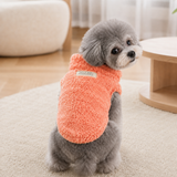 Orange plush winter sweater worn by a small dog in a cozy home