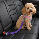 Purple adjustable pet car seat-belt tether clipped from a dog harness to a rear-seat buckle