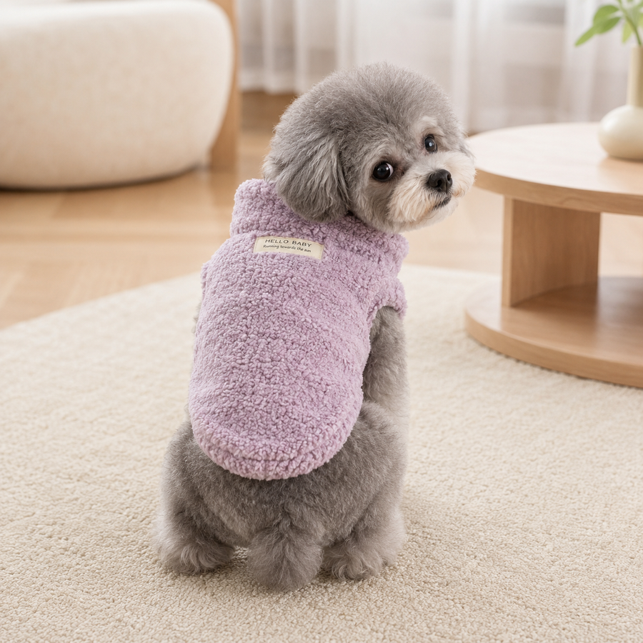 Purple plush winter sweater worn by a small dog in a cozy home