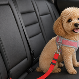 Red adjustable pet car seat-belt tether clipped from a dog harness in a rear car seat