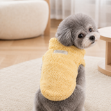 Yellow plush winter sweater worn by a small dog in a cozy home